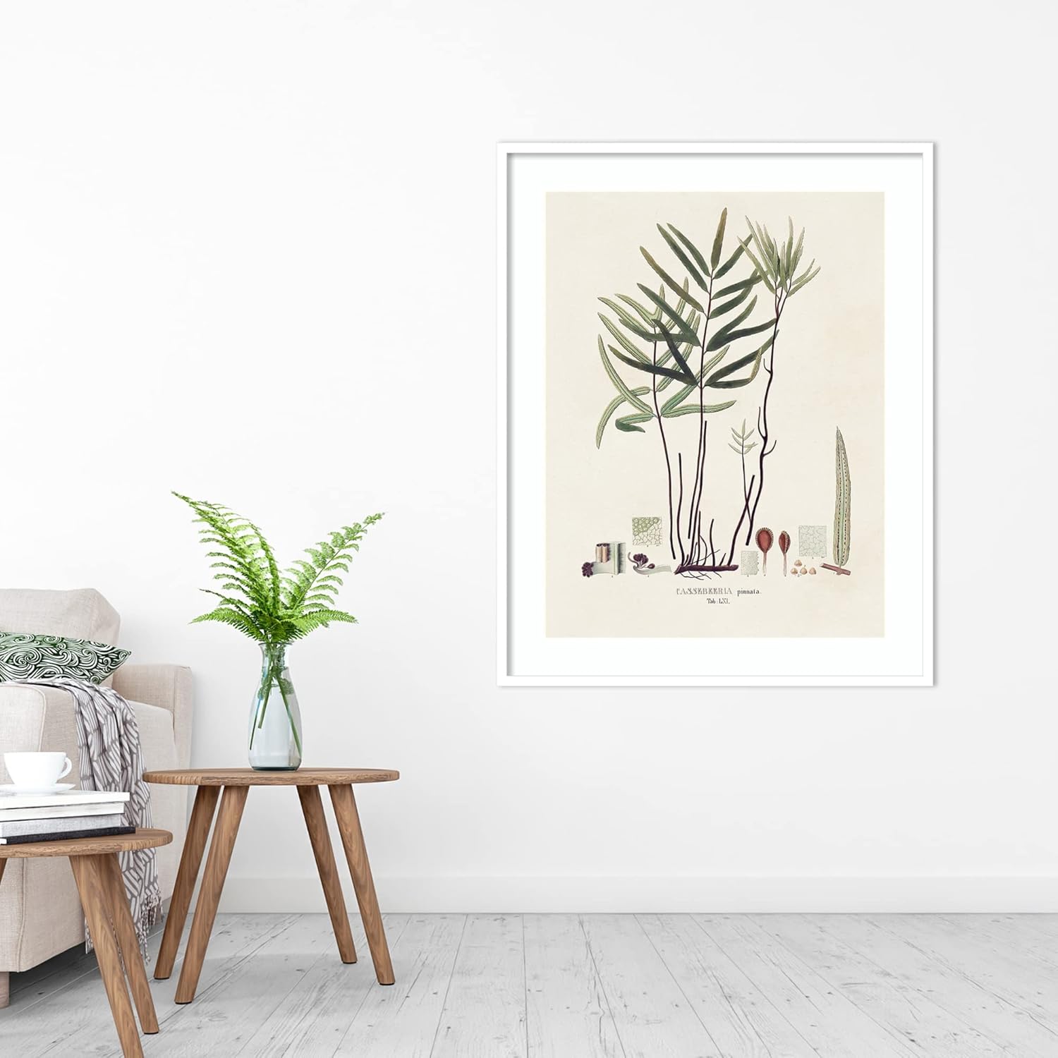 Amanti Art Framed Wall Art Print (33×41) Botanical Society Ferns XI by Vision Studio Framed Poster for Wall Decor, Living Room, Bedroom, Bathroom,