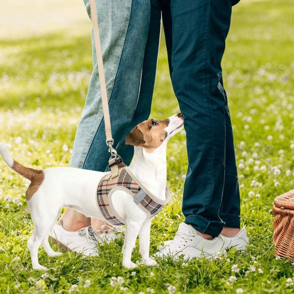 PUPTECK – Arnés y correa ajustable, sin tirones, para perro pequeño y mediano, cachorros y gatos, adiestramiento y paseo al aire libre, chaleco