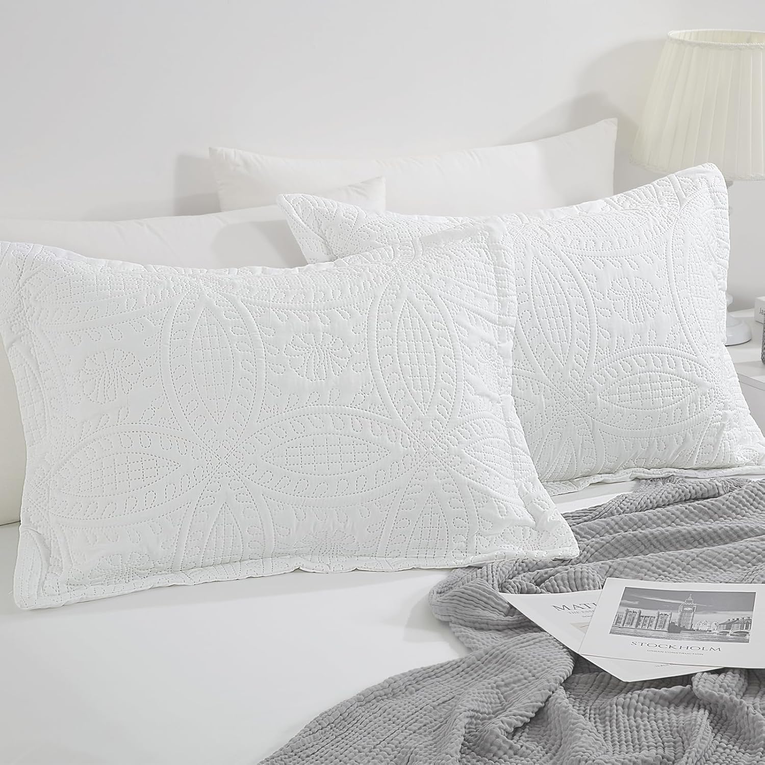 HOMBYS Juego de 2 fundas de almohada acolchadas tamaño King con patrón de moneda de estilo moderno con cierre de sobre, duraderas, suaves y