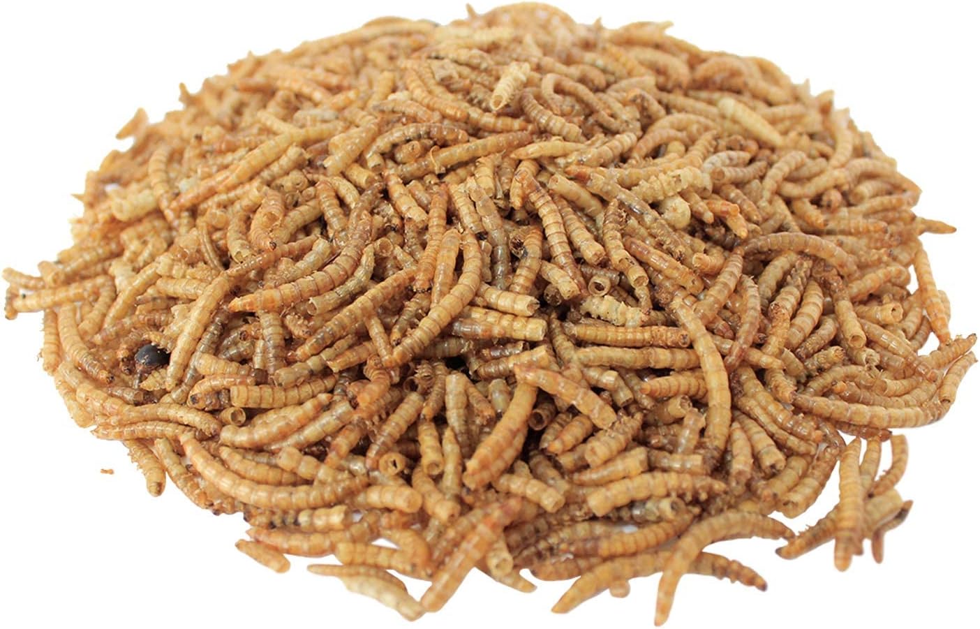 Downtown Pet Supply Gusanos secos de harina de 1 libra para aves silvestres, aves, reptiles y pequeños mamíferos ricos en vitamina B12, B5,