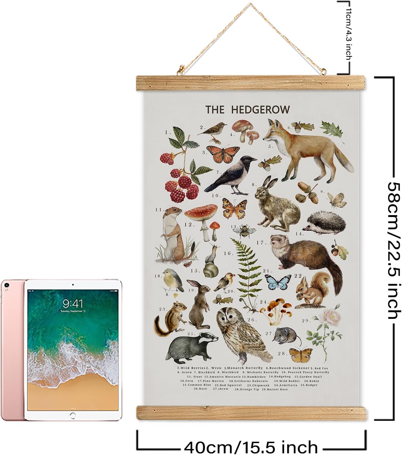 XIAOAIKA British Hedgerow – Póster educativo de vida silvestre, cuadro ilustrado de naturaleza con marco de madera, arte de pared de animales y