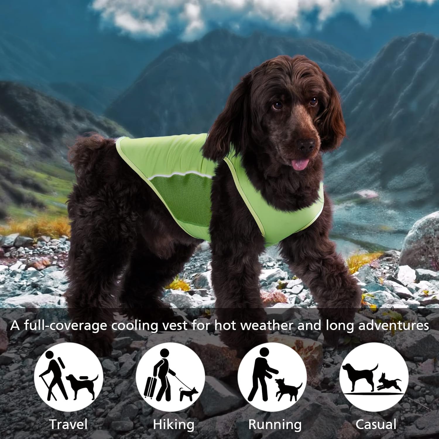 Camiseta para perro con protección solar UPF 50+, camisetas para fanáticos de los deportes para perros pequeños, niños y niñas, camisetas