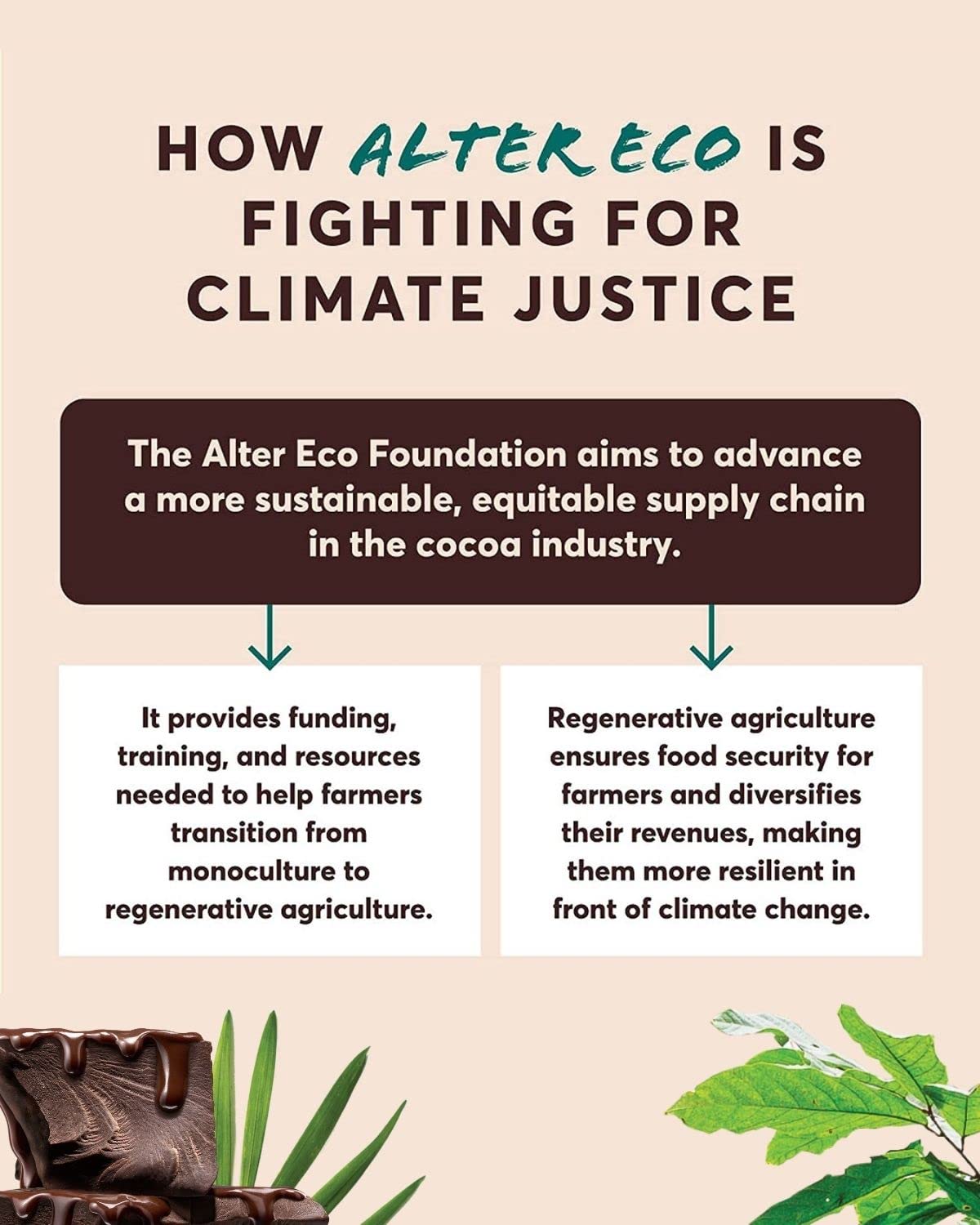 Alter Eco  Barras de chocolate negro  Cacao oscuro puro, comercio justo, orgánico, sin OMG, sin gluten (paquete de 2 menta apagón)