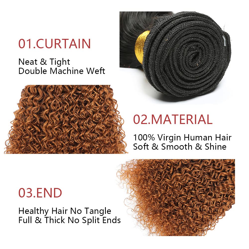 1B30 – Manojos de cabello humano rizado ombré, color marrón degradado, paquetes de cabello virgen 100% sin procesar, paquetes de cabello Remy