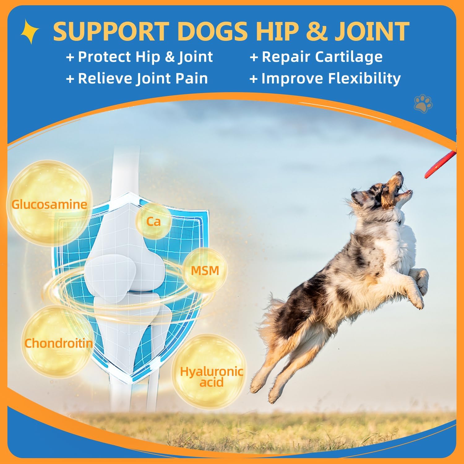 Polvo multivitamínico para perros con glucosamina, vitaminas para perros y suplementos para apoyo inmunológico, suplemento para la piel y el pelaje
