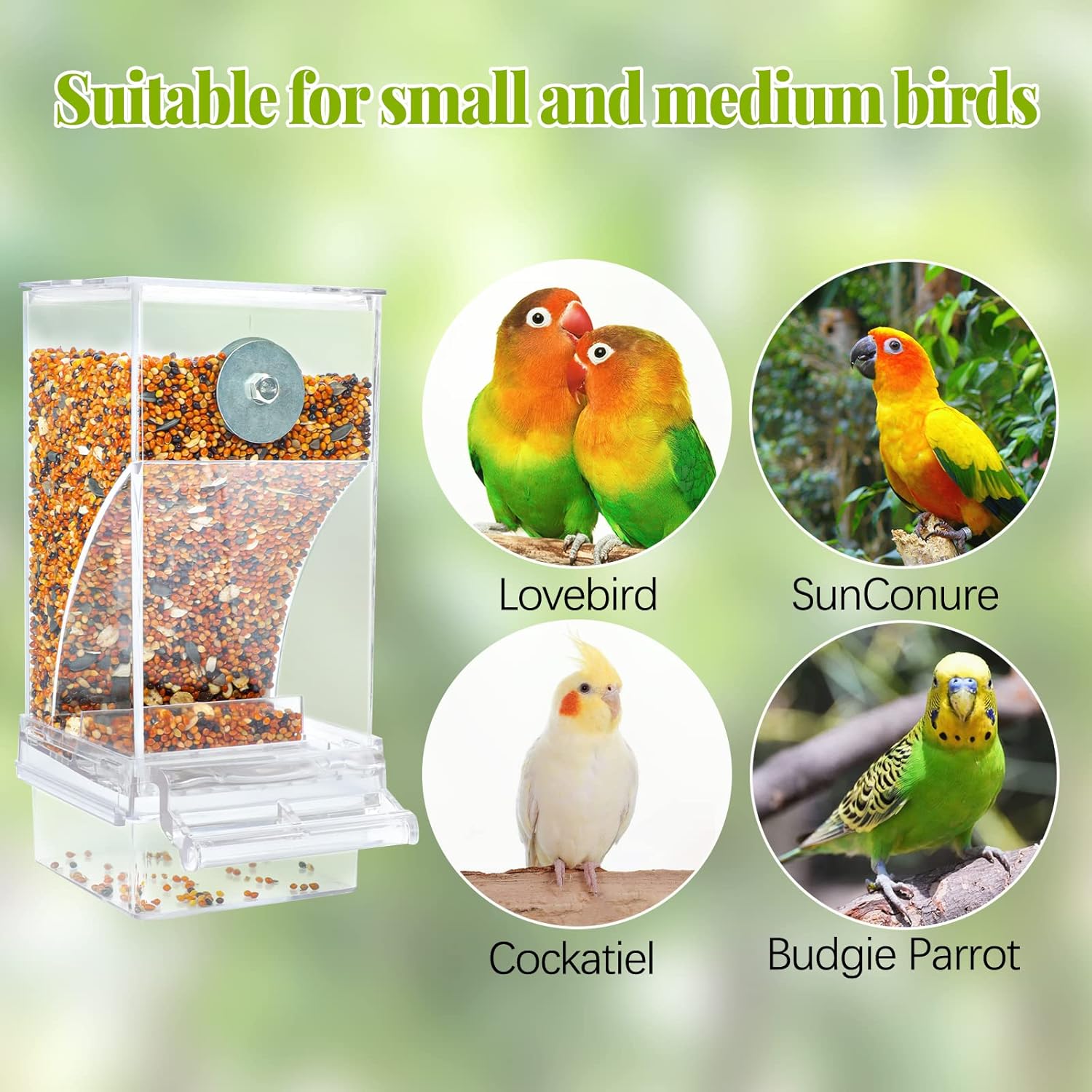 Rypet Paquete de 2 comederos automáticos para pájaros sin ensuciar, jaula transparente transparente para comederos de loros acrílicos, accesorios
