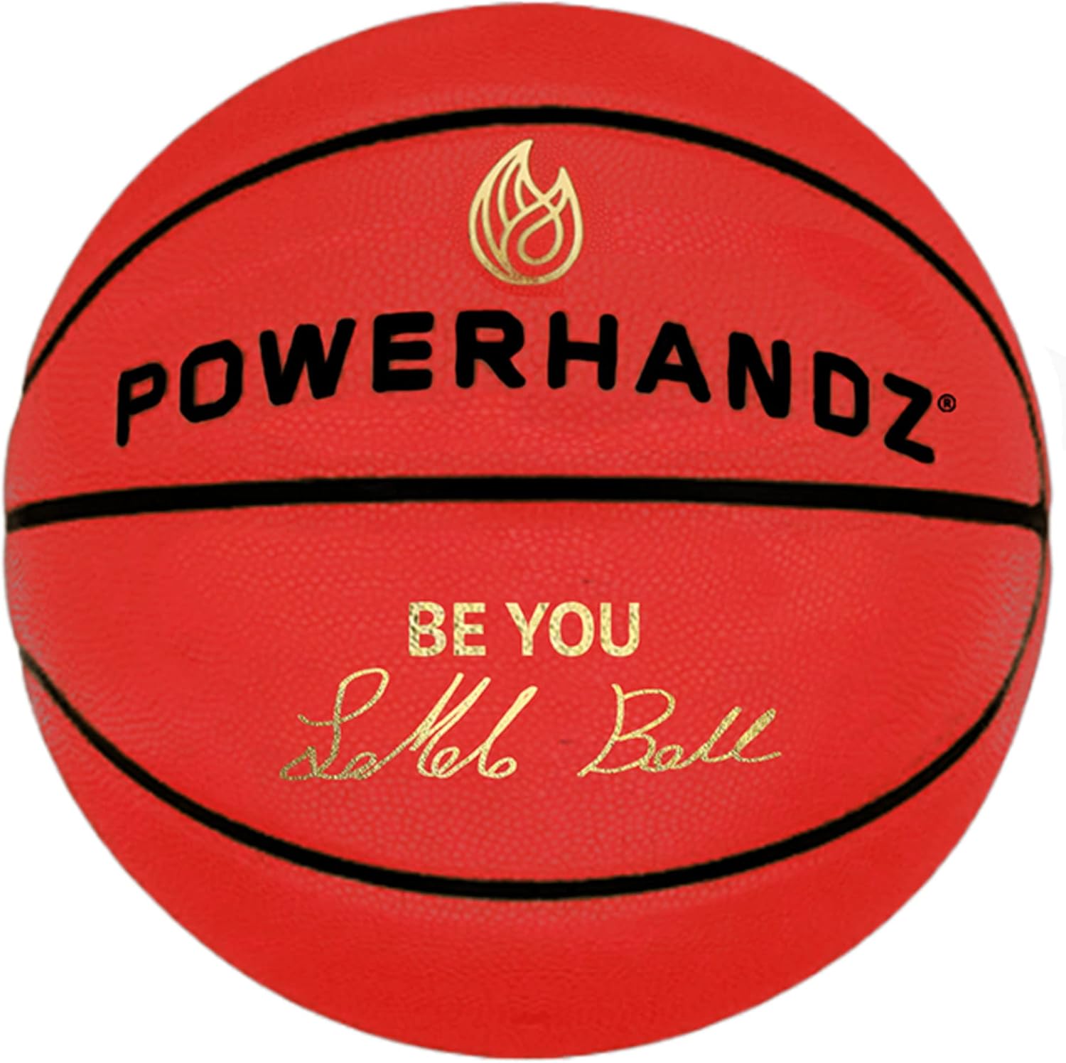 POWERHANDZ LaMelo Ball 1Ball Goal Weighted Training Basketball, Outdoor or Indoor Practice, Improve Ball Handling, Passing, Strength, Increase Grip,