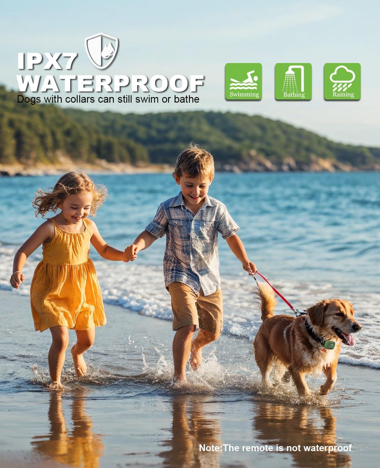 Collar eléctrico de entrenamiento para perros con control remoto de 1640 pies para 2 perros, E-Shock, bloqueo de seguridad con 3 modos de