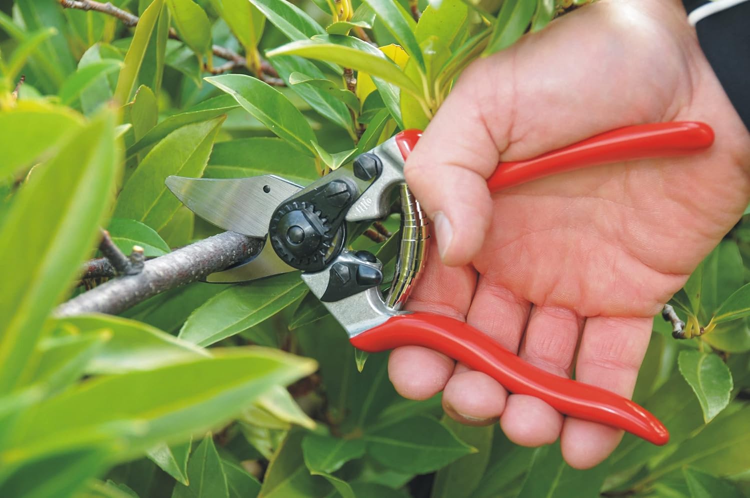 Felco Tijeras de podar (F 6) y (F 310) – Podadoras de jardín con una sola mano de fabricación suiza de alto rendimiento