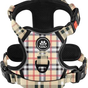 IVY&LANE Arnés sin tirones para perros grandes, arnés de chaleco reflectante de 360 con 2 clips para correa, 3 hebillas a presión, chaleco acolchado IVY&LANE Arnés sin tirones para perros grandes, arnés de chaleco reflectante de 360 con 2 clips para correa, 3 hebillas a presión, chaleco acolchado