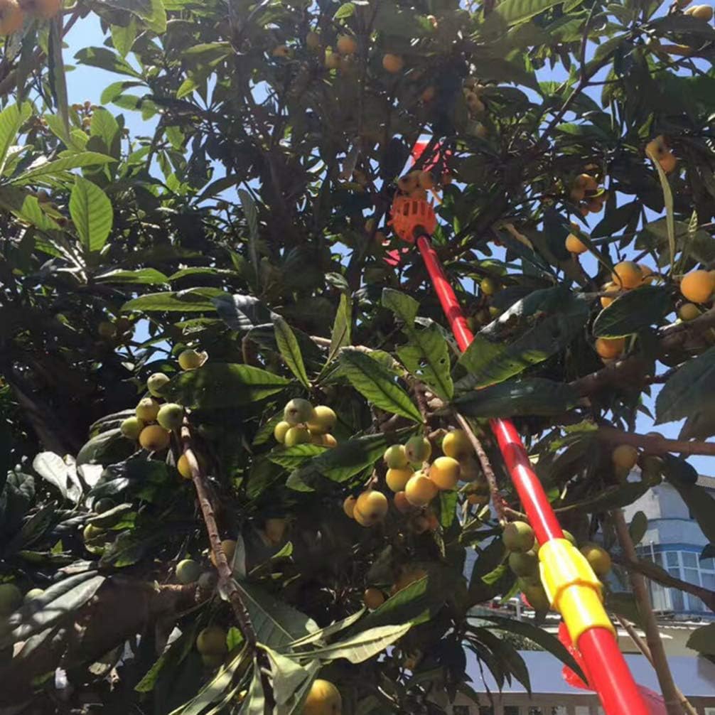 Hemoton 2 unids Recogedor de Frutas Stick Acero Inoxidable Tuercas Recogedor de Frutas Cesta Recolector de Frutas Herramienta Recogedor de Frutas