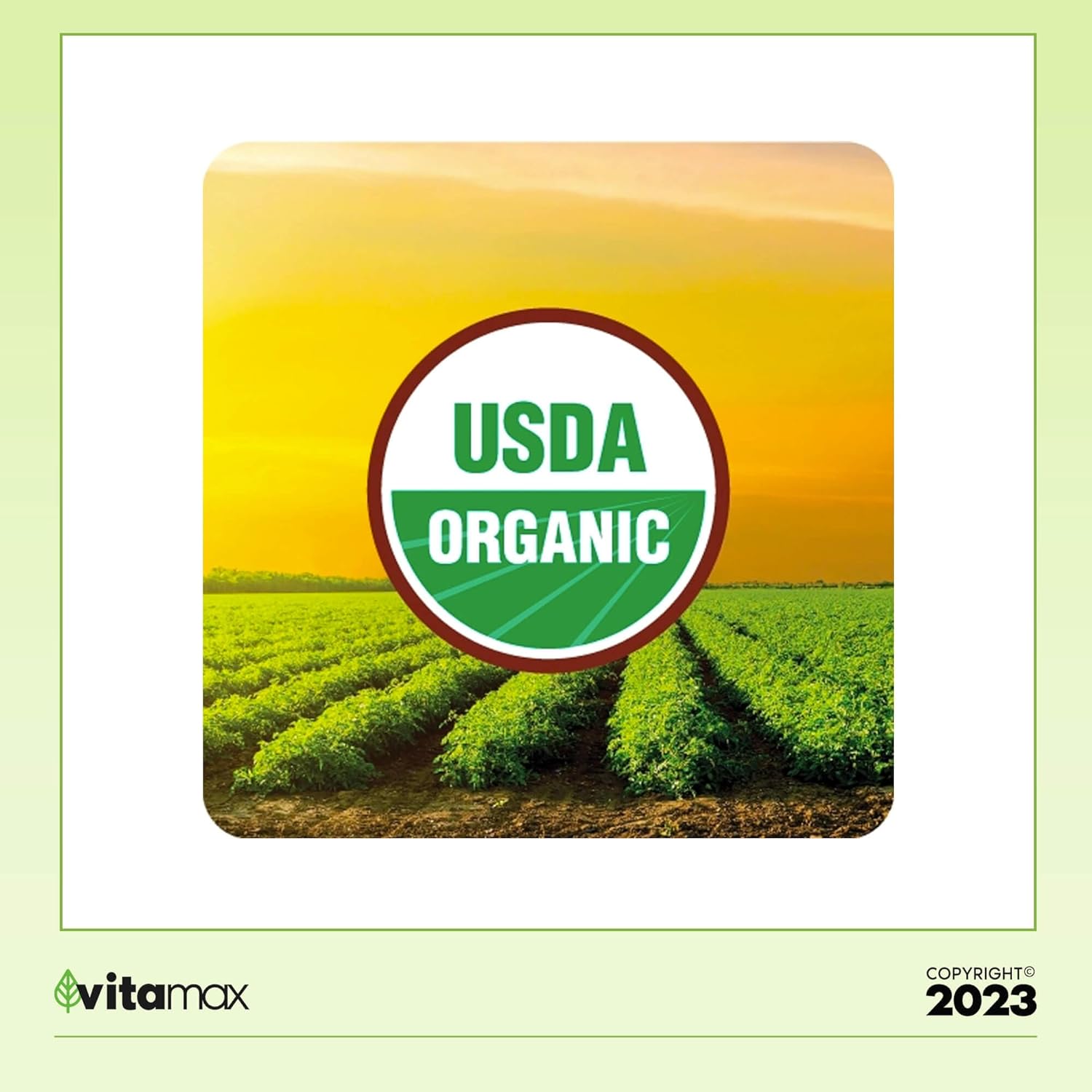 Kirkland Signature Organic Multivitamin – 80 tabletas recubiertas + guía exclusiva de vitaminas VitaMax (2 artículos)
