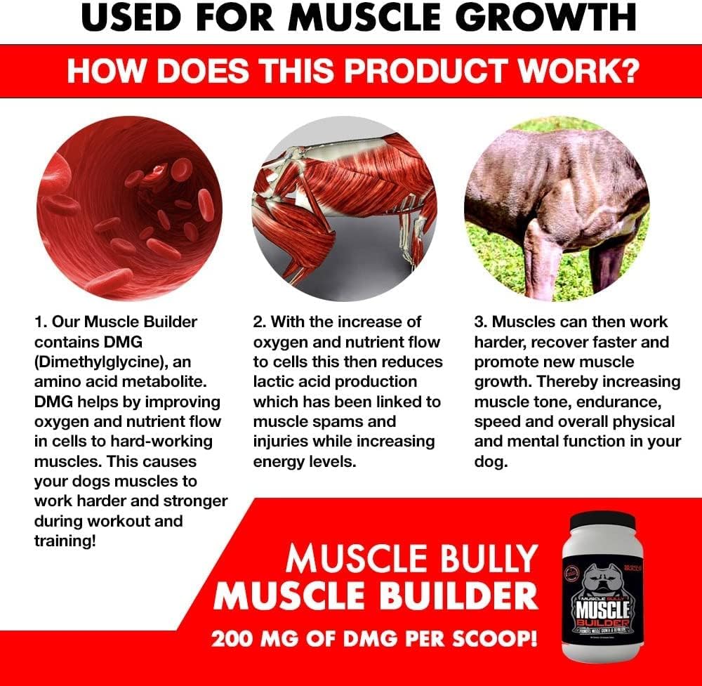Muscle Builder para perros – Combina ingredientes de construcción muscular clínicamente probados. Apoya el crecimiento muscular, tamaño, definición