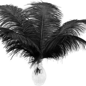 Ballinger Plumas de avestruz grandes negras  12 plumas grandes de 14 a 16 pulgadas para jarrón, centros de mesa de fiesta de boda y decoración del Ballinger Plumas de avestruz grandes negras  12 plumas grandes de 14 a 16 pulgadas para jarrón, centros de mesa de fiesta de boda y decoración del