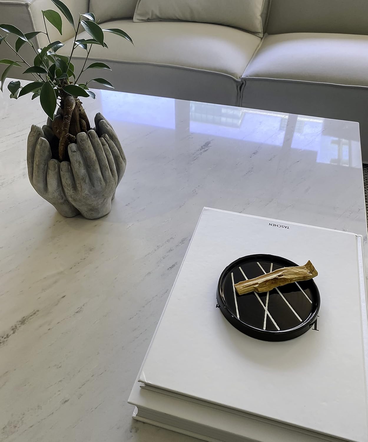 Bursera Plato de cerámica de ónix, árbol plantado con cada pedido, bandeja para manchas para Palo Santo, salvia blanca, quemador de incienso y plato