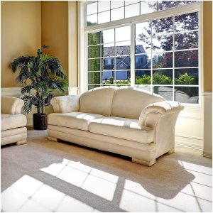BDF S2M – Película transparente para ventana con bloqueo UV (60 pulgadas x 50 pies) BDF S2M – Película transparente para ventana con bloqueo UV (60 pulgadas x 50 pies)
