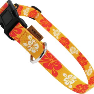 Collar de perro, bonito patrón floral, collar suave y ajustable con hebilla de liberación rápida (S (cuello 11-18 pulgadas, ancho 58 pulgadas), Collar de perro, bonito patrón floral, collar suave y ajustable con hebilla de liberación rápida (S (cuello 11-18 pulgadas, ancho 58 pulgadas),
