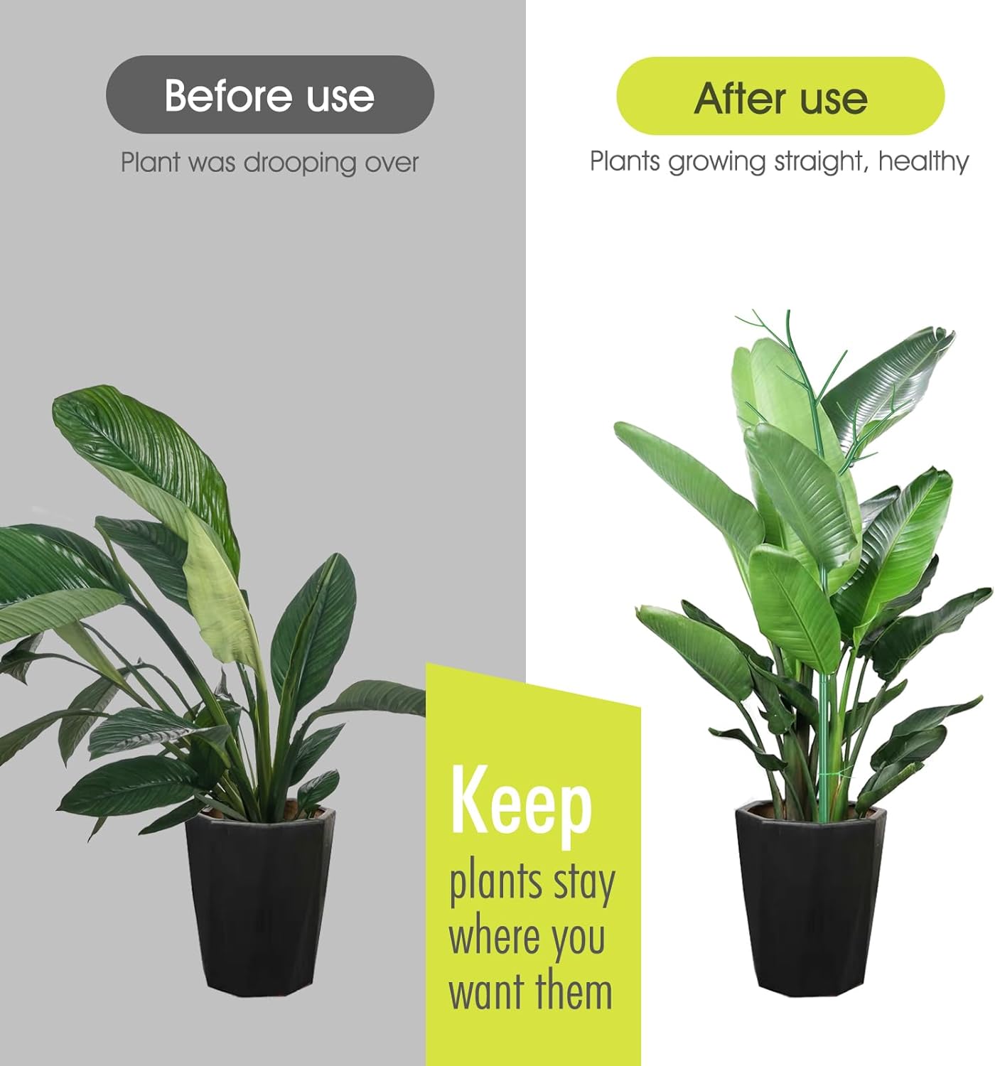 Paquete de 6 estacas de soporte para plantas de interior, ramitas de 27.56 pulgadas con clips de orquídeas, lazos giratorios y lazos de plantas para