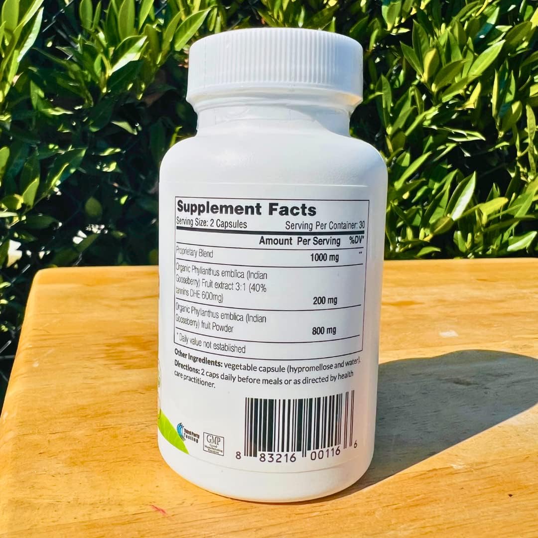 Sewanti Organic Amla Anti oxidante & Cleansing Aid 60 cápsulas veganas de extracto de alta potencia, 500 mg