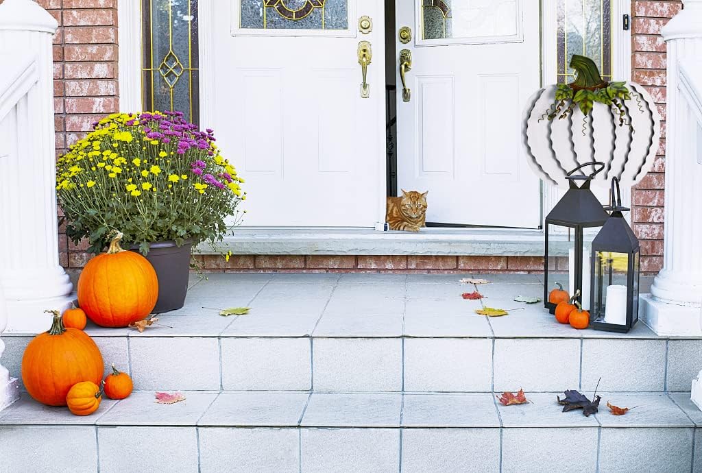 Morning View Estaca de metal con diseño de calabaza para jardín, decoración de otoño, decoración de calabazas rústicas para patio, decoración de
