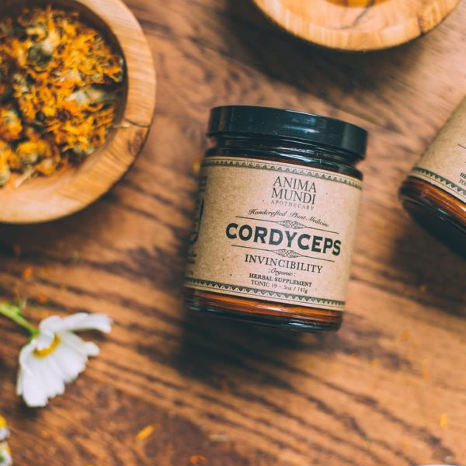 Anima Mundi Cordyceps – Polvo de hongos Cordyceps orgánico real – Suplemento en polvo de hongos para el hígado y el apoyo inmunológico – Añadir a