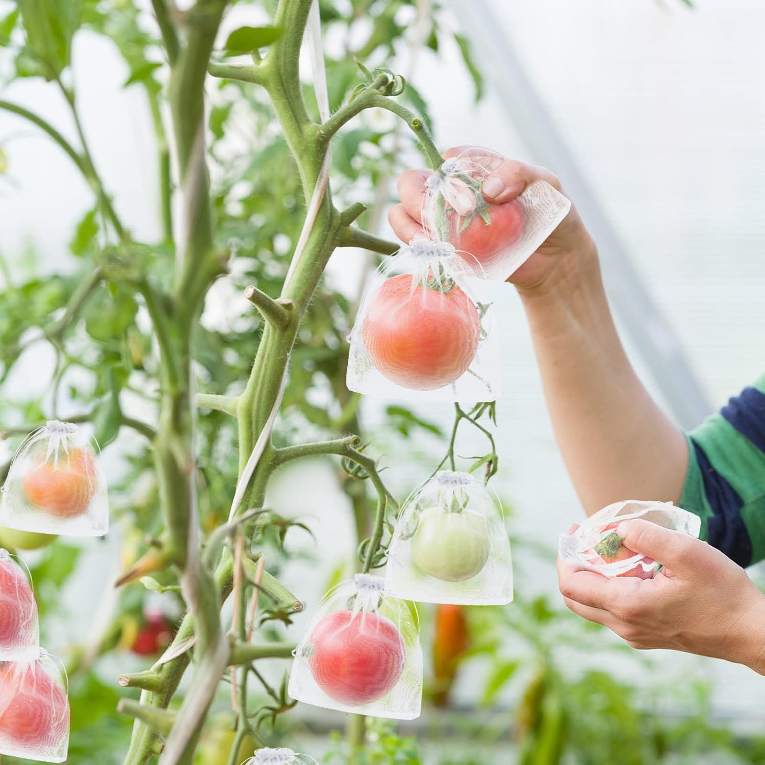 100 bolsas de protección de frutas, bolsas de red de frutas para árboles frutales, cubierta de jardín frutal, bolsa de malla de 5 x 7 pulgadas con