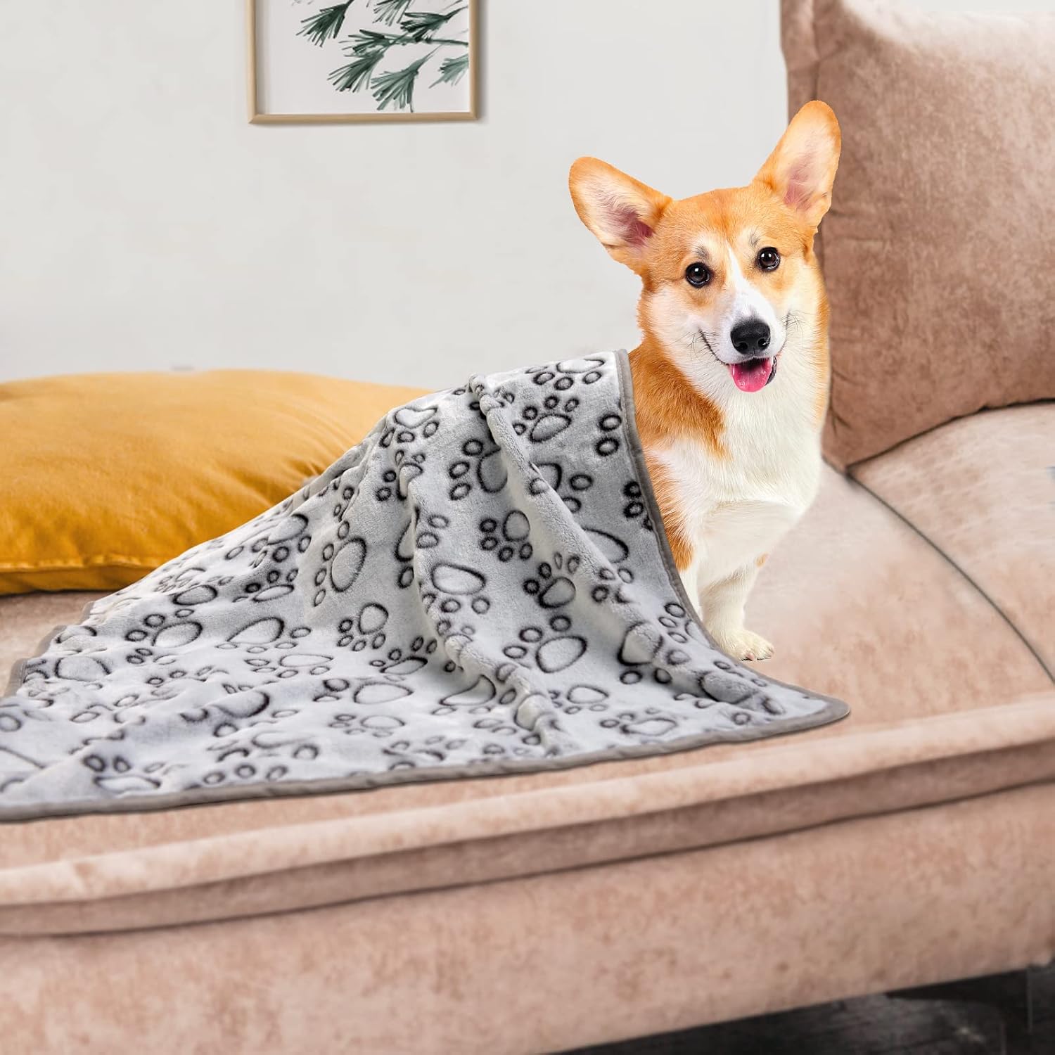 1 paquete de 3 mantas para perros medianos, manta de forro polar suave para perro, manta cálida para dormir, manta gris con bonito estampado de