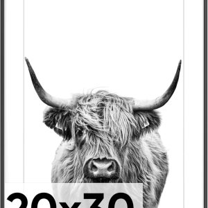 Homeforia – Marco metálico negro de 20 x 30pulgadas con paspartú de 16 x 24pulgadas, para pared, marco de aluminio grande con vidrio templado para Homeforia – Marco metálico negro de 20 x 30pulgadas con paspartú de 16 x 24pulgadas, para pared, marco de aluminio grande con vidrio templado para