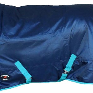840D Horse Turnout – Manta de invierno impermeable de peso medio, color borgoña 59EE07 840D Horse Turnout – Manta de invierno impermeable de peso medio, color borgoña 59EE07