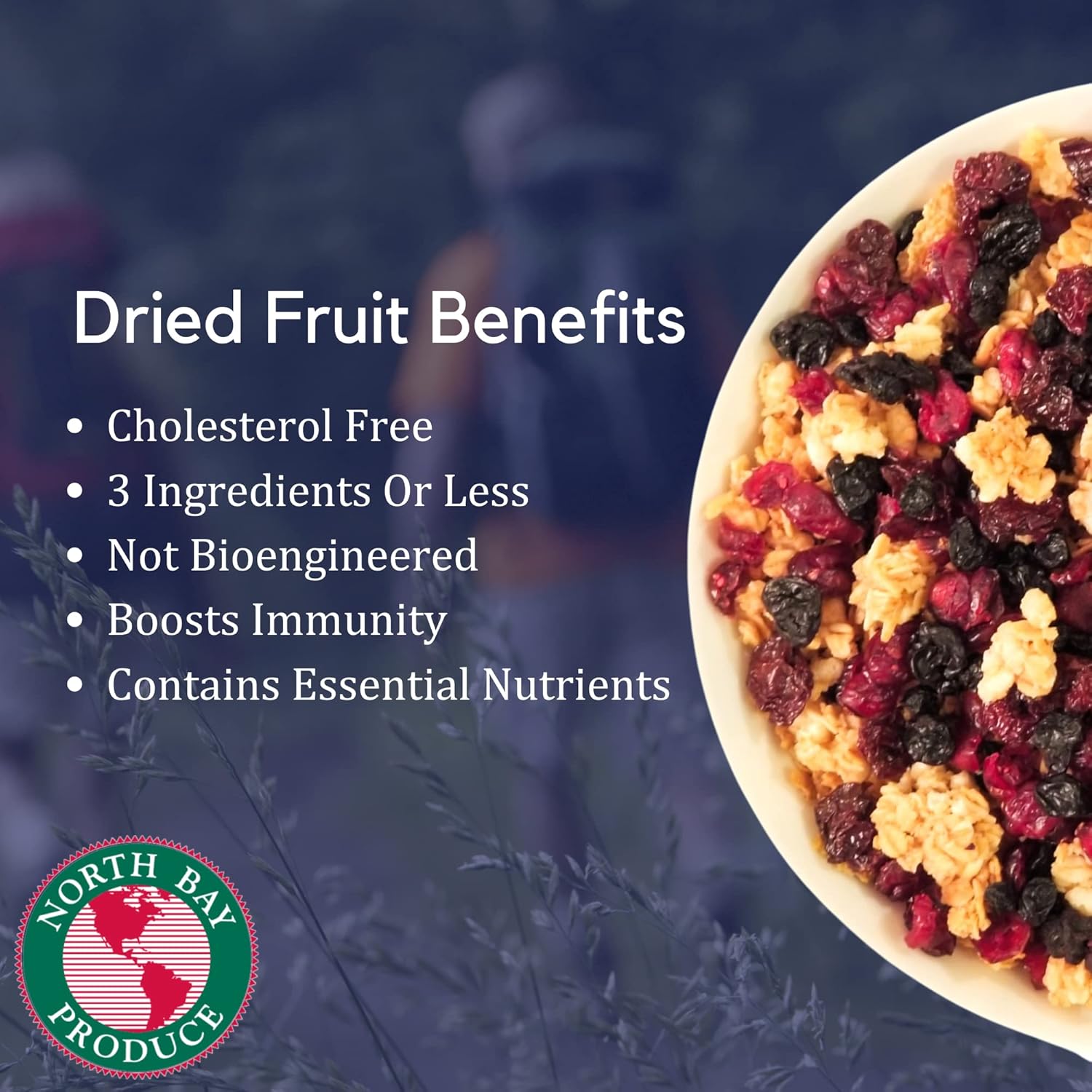 North Bay Produce – Arándanos secos – Sin gluten, veganos – Snacks saludables para niños y adultos – Bolsa resellable, 5 onzas