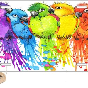 Placa de matrícula decorativa de naturaleza tropical con pájaros lindos, etiqueta de tocador, placa de metal para automóvil, placa de aluminio Placa de matrícula decorativa de naturaleza tropical con pájaros lindos, etiqueta de tocador, placa de metal para automóvil, placa de aluminio