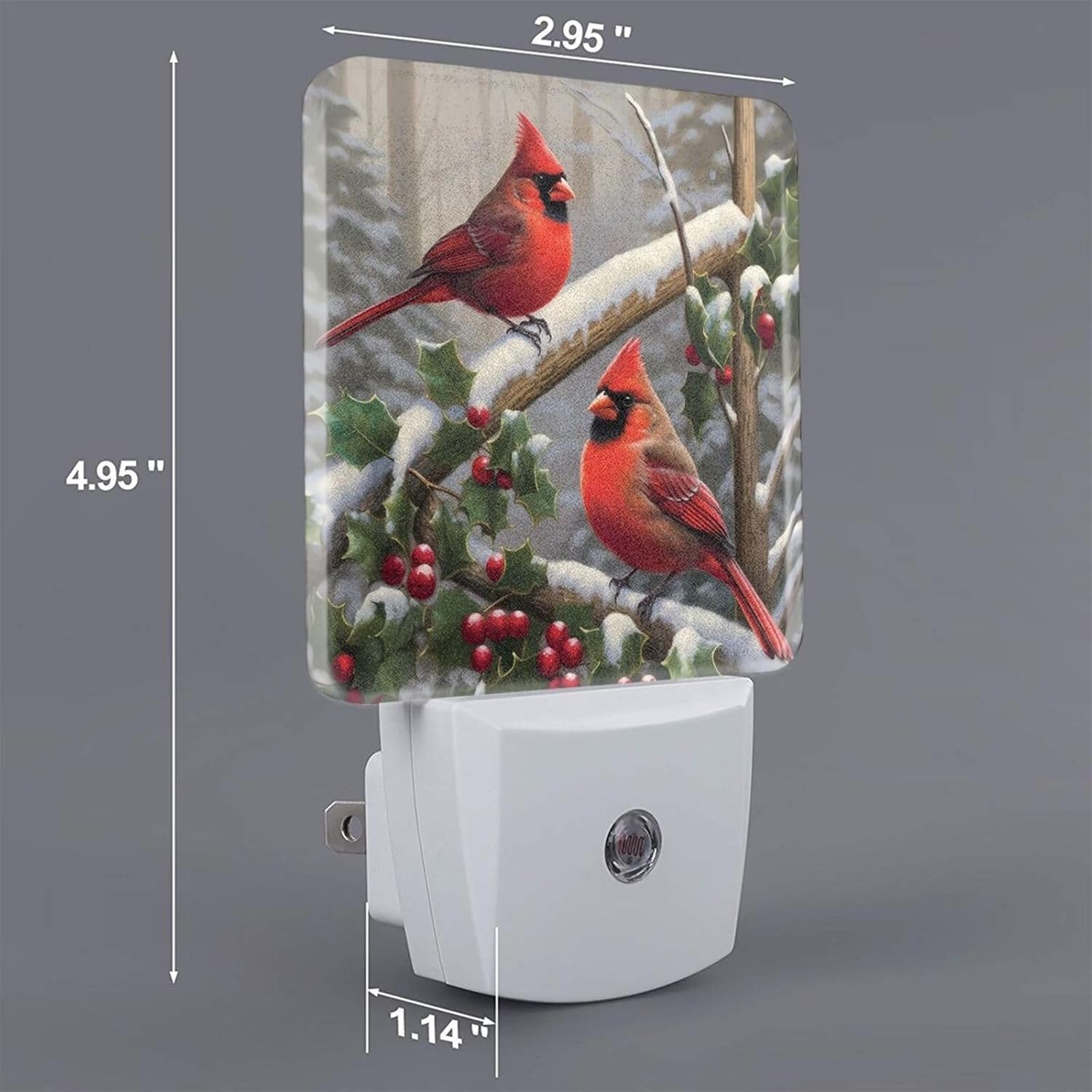 Ouqiuwa Juego de 2 luces nocturnas de Navidad, luces LED con sensor de movimiento automático Red Birds para dormitorio, cocina, pasillo, escaleras