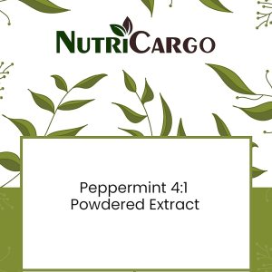 NutriCargo Extracto en polvo de menta 41 1.1 LBS (17.64 oz) NutriCargo Extracto en polvo de menta 41 1.1 LBS (17.64 oz)