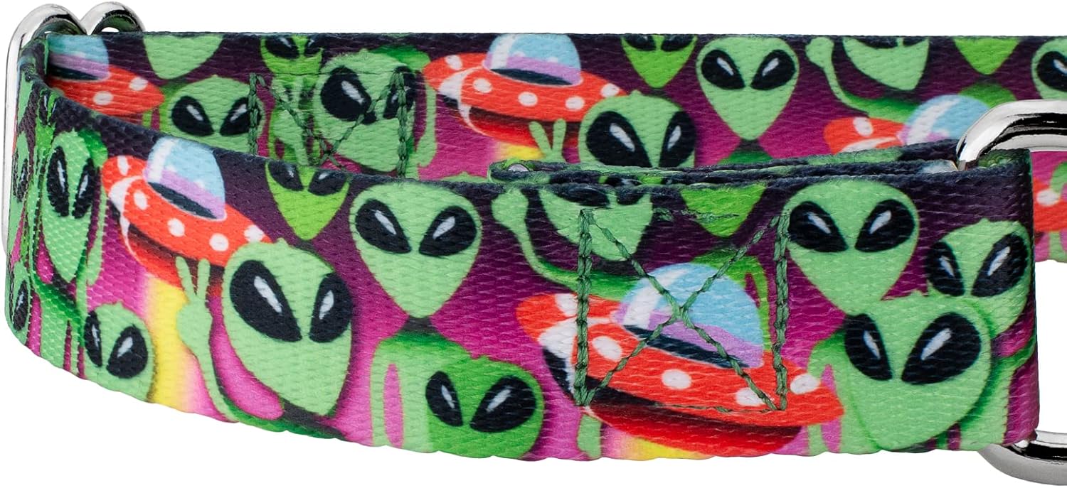 Country Brook Petz – Collar de perro Martingale Space Aliens – Colección Geek Chic con diseños para cualquier mega fan (58 pulgadas, pequeño)