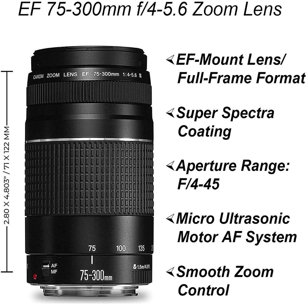 Canon Cámara DSLR EOS 4000D (Rebel T100) de 0.709-2.165 in y lente dual de 2.953-11.811 in + paquete de accesorios ZeeTech con tarjeta de memoria
