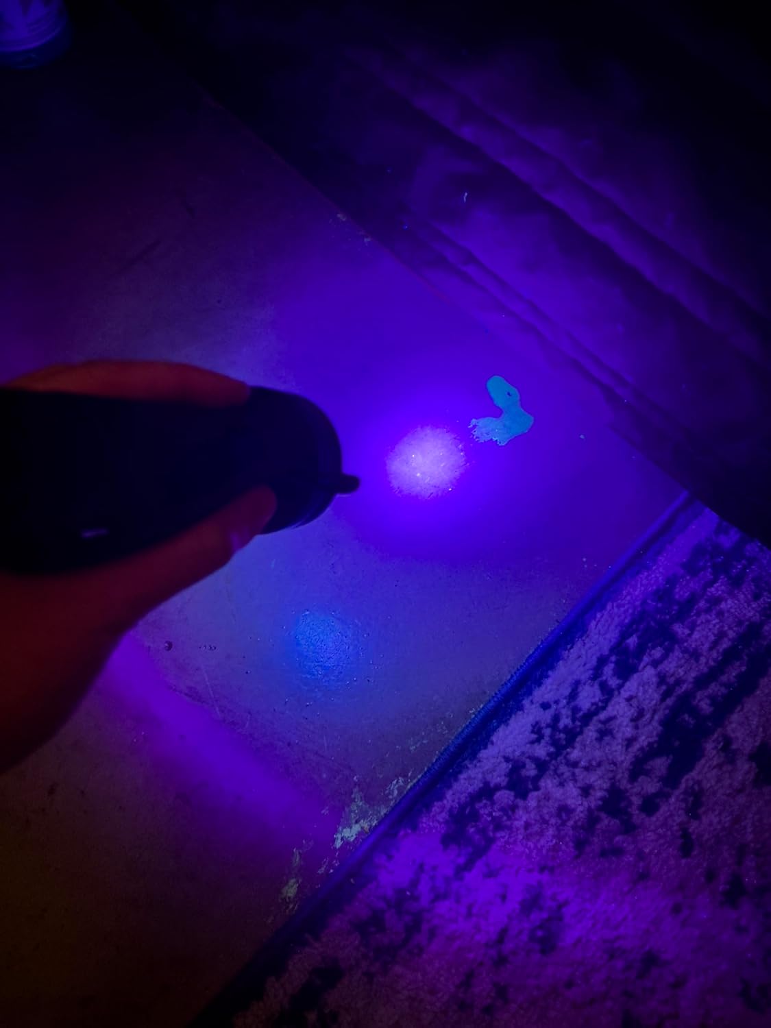 ASTRA Linterna UV de luz negra, 51 LED Blacklight Detector de orina de mascotas para orina de perro y gato, manchas secas, chinches de cama, a juego