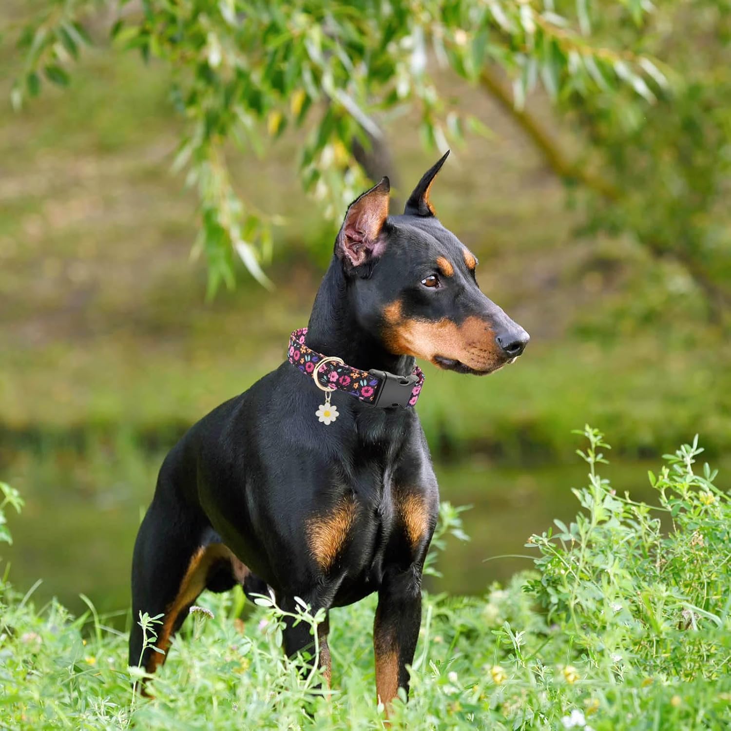 Lindo collar de algodón para perro, patrones de flores, collares suaves y ajustables para cachorros, para hembras pequeñas, medianas y grandes, con