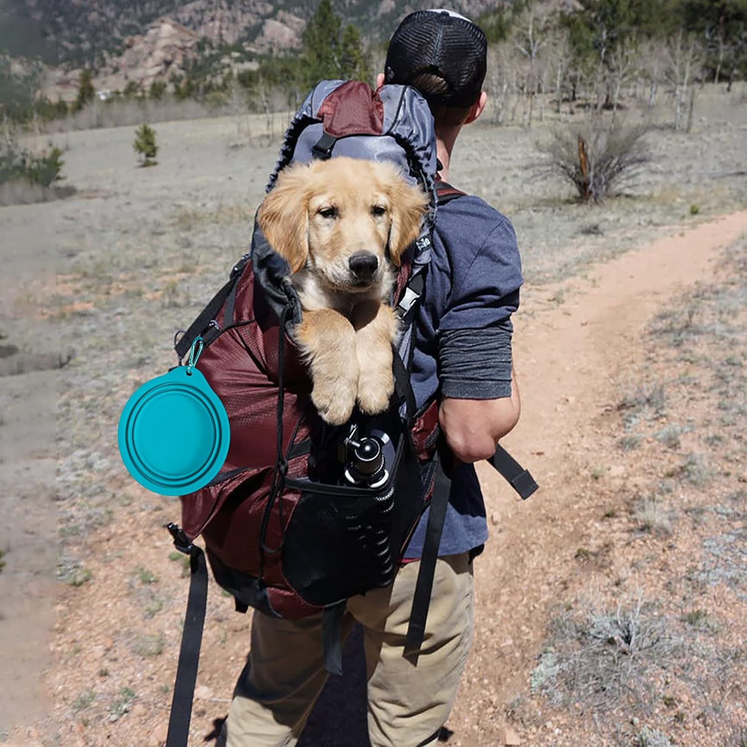 SLSON Juego de 2 cuencos plegables para perros, cuencos de viaje integrados sin borde de plástico, cuencos de alimentación para mascotas para
