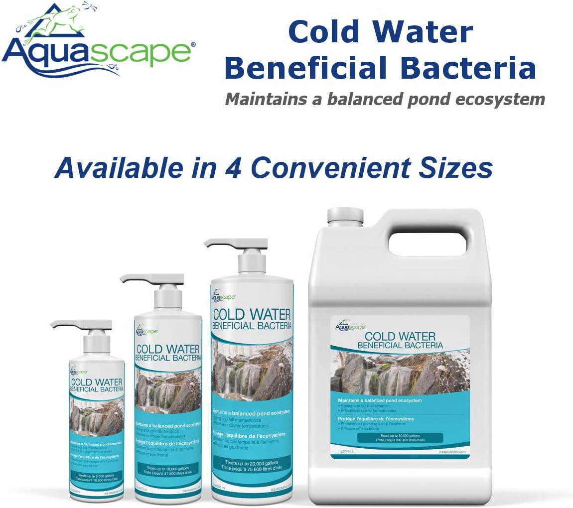 Aquascape Inc 98893 Bacterias beneficiosas frías para estanques y características de agua, 16.0 fl oz  16 onzas, transparente
