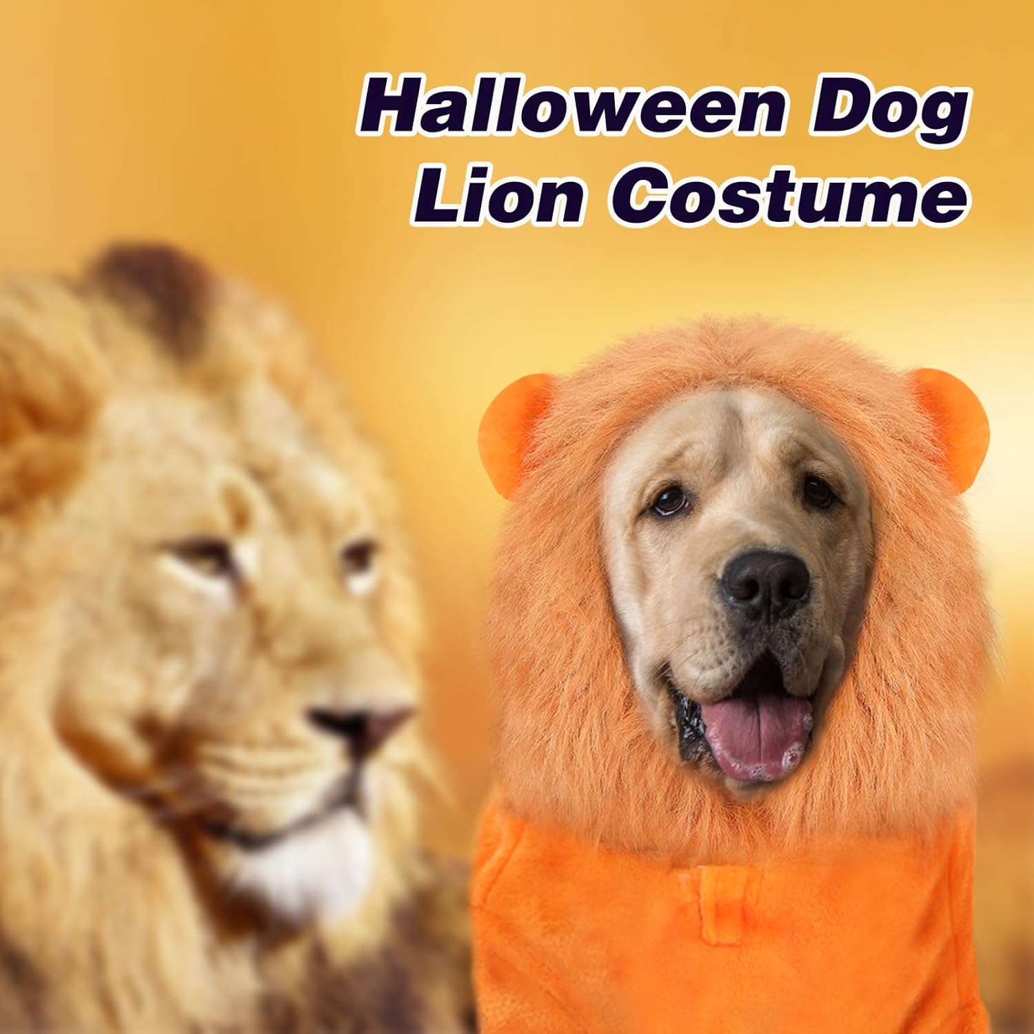 BWOGUE Disfraz de león para perros grandes, disfraz de perro león de Halloween, sudadera con capucha de forro polar cálido con agujero para correa,