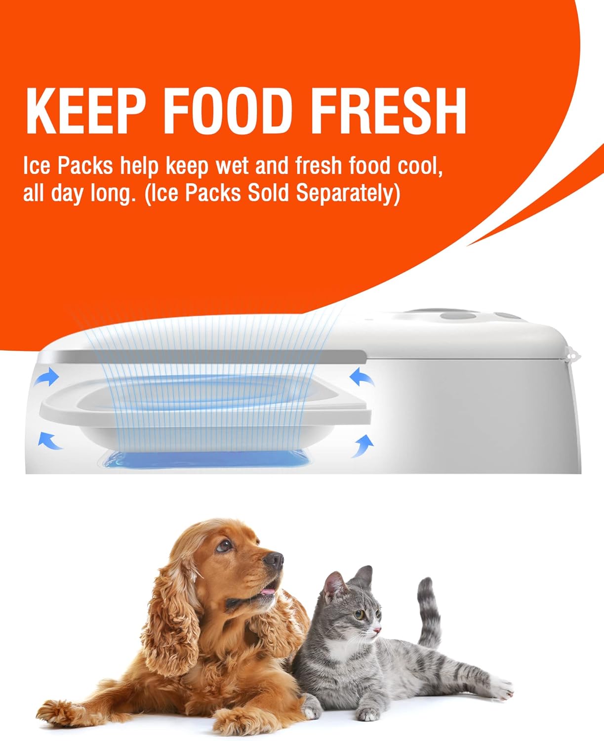 Comedero automático para gatos de alimentos húmedos, alimentador inteligente para 2 comidas para 2 gatos con temporizador programable, dispensador