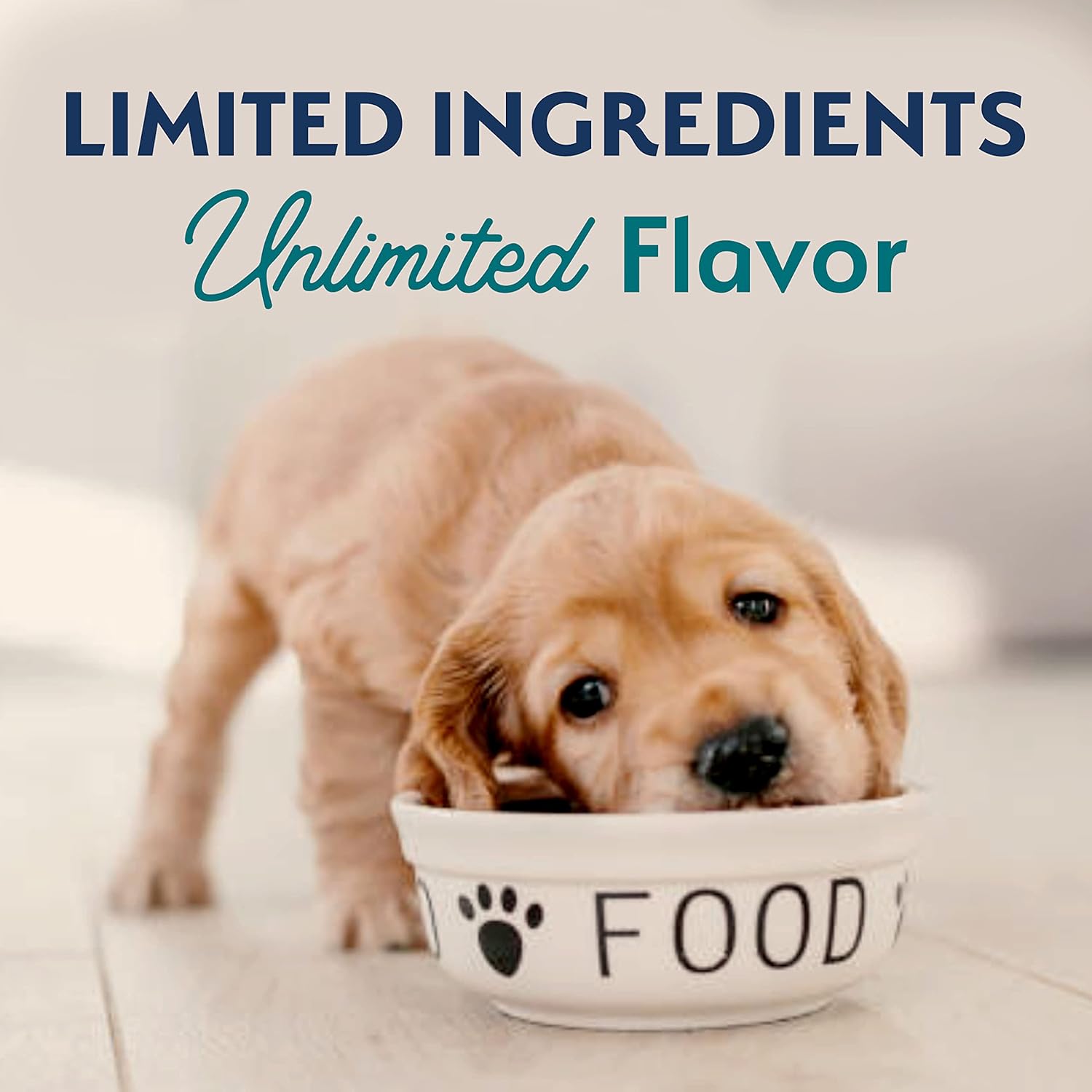 Alimento para perros Natural Balance, Pollo y Arroz café