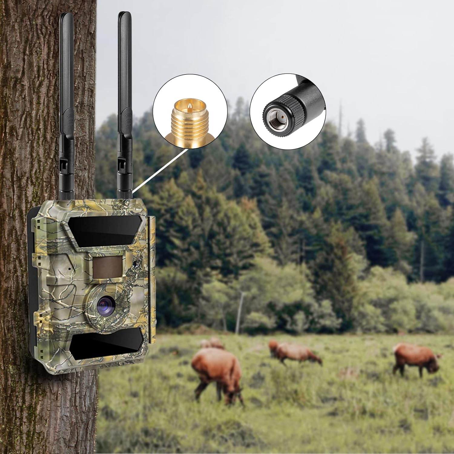 8dBi RP-SMA macho 3G 4G LTE Cámara celular Trail Antena de largo alcance compatible con SPYPOINT Link Micro Link Dark Link S Link EVO Tactacam