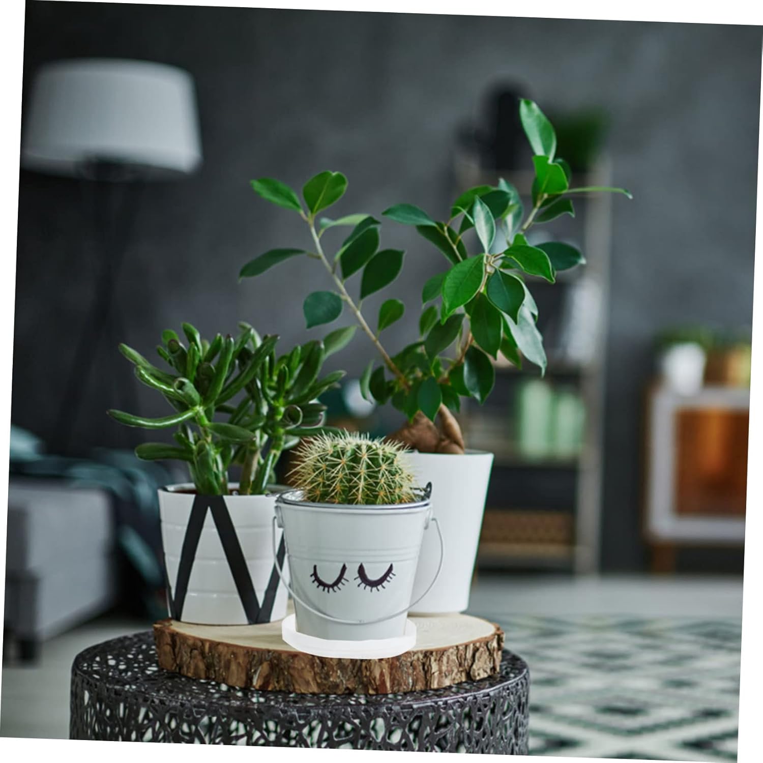 Yardwe 32 Pcs Plastic Plant Tray Plant Drip Tray Plant Pot Trays Round Succulent Saucer Flower Pot Saucer Seasoning Dipping Bowl Cactus Tray