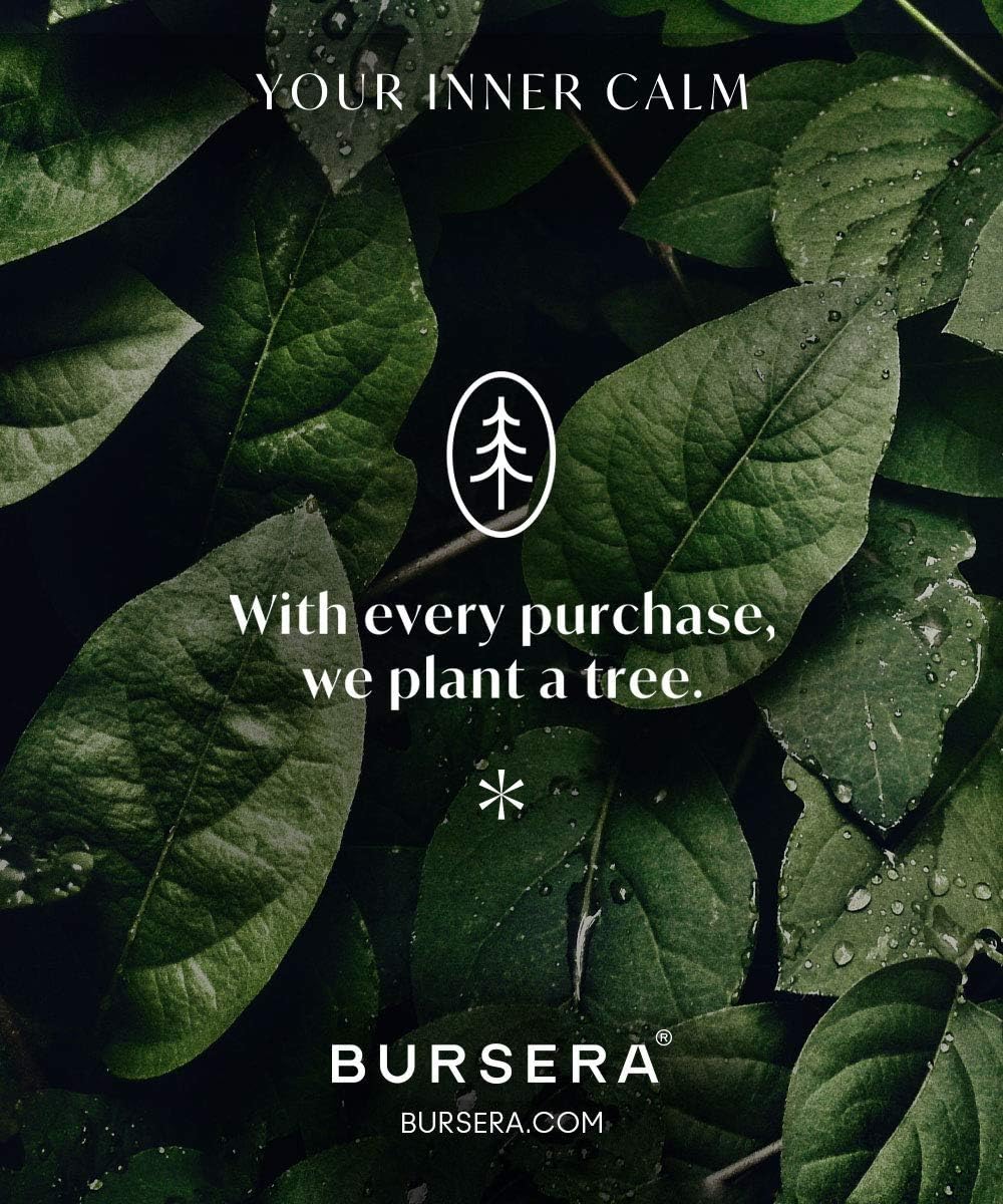 Bursera Plato de cerámica de ónix, árbol plantado con cada pedido, bandeja para manchas para Palo Santo, salvia blanca, quemador de incienso y plato
