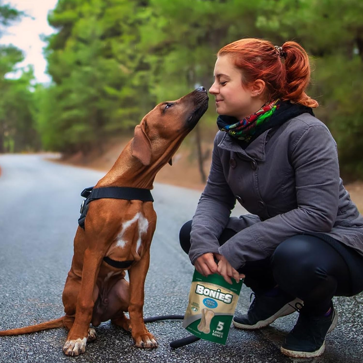 Bonies Aliento y fórmula dental golosinas para perros, ingredientes totalmente naturales, aliento fresco, limpia los dientes, bajo en calorías,