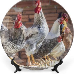 Plato decorativo para exhibición, gallinas de granja, pájaros, plato de gallinero, platos de postre de cerámica, platos conmemorativos con soporte, Plato decorativo para exhibición, gallinas de granja, pájaros, plato de gallinero, platos de postre de cerámica, platos conmemorativos con soporte,