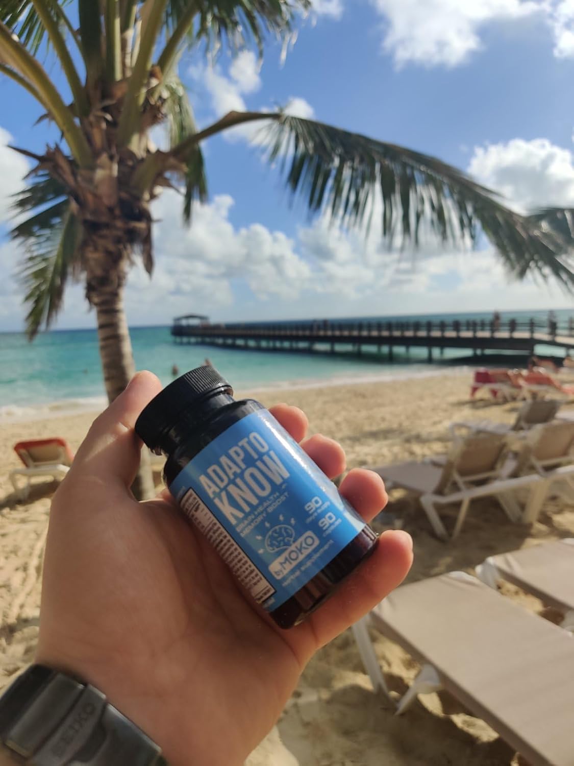 AdaptoKNOW Suplemento cerebral para memoria, concentración y concentración  Ashwagandha Ginkgo Biloba Siberian Ginseng Siberiano Nootropics