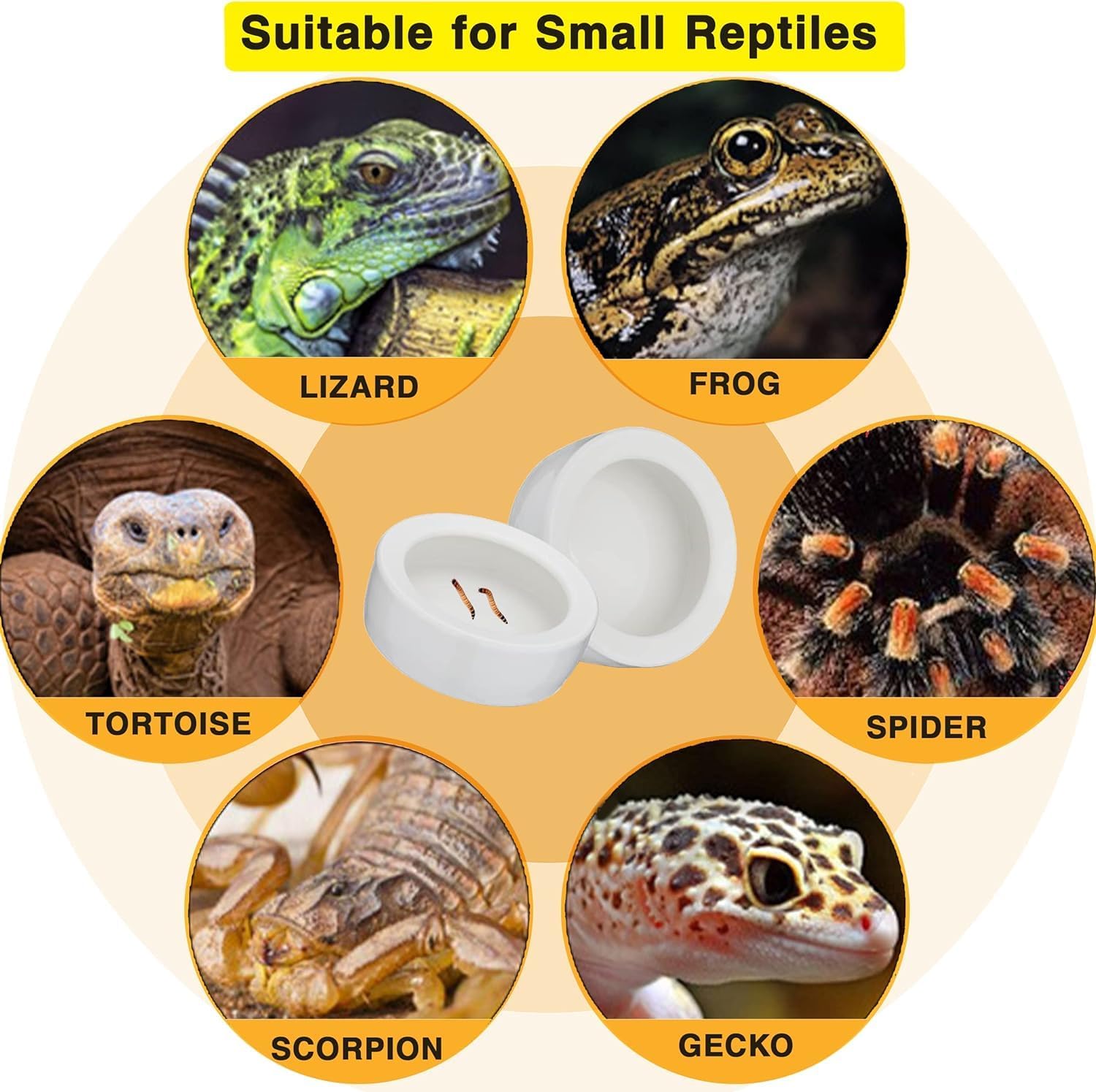 2 cuencos de cerámica para reptiles con pinzas para tortuga, lagarto, barbudo, dragón, rana, leopardo, gecko, serpiente, camaleón, (mediano, 2.68