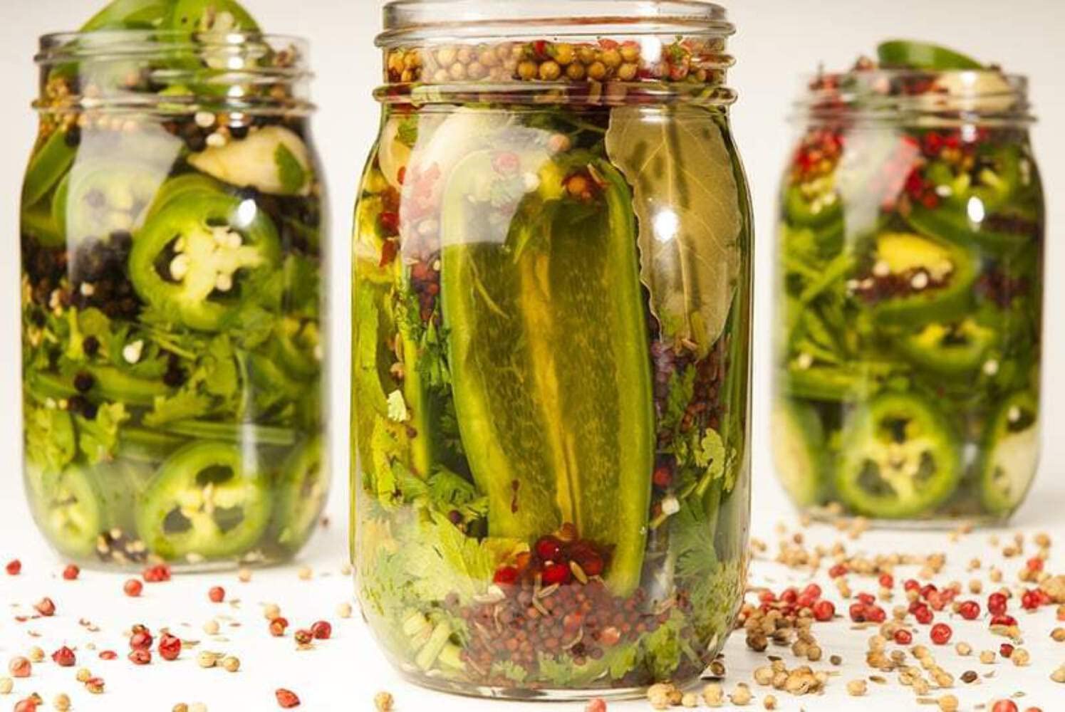 Savory Spice – Semillas de cilantro enteras para cocinar, ideales para encurtidos, adobos y curry (bolsa de 1 taza – Neto 2.3 onzas)